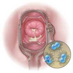 大連開發區肛腸醫院