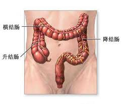 大連開發區肛腸醫院