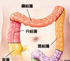 大連開發區肛腸醫院