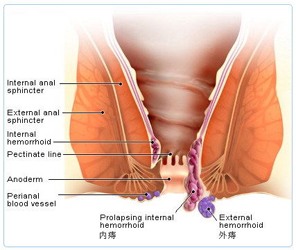 大連開發區肛腸醫院
