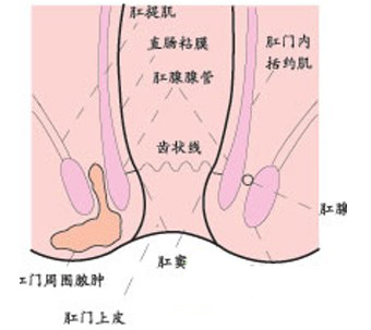 大連開發區肛腸醫院
