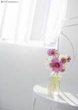 內(nèi)痔會有哪些危害